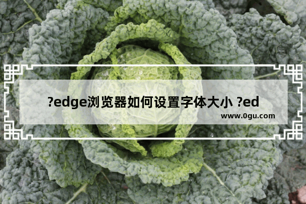 ?edge浏览器如何设置字体大小 ?edge浏览器设置字体大小的方法