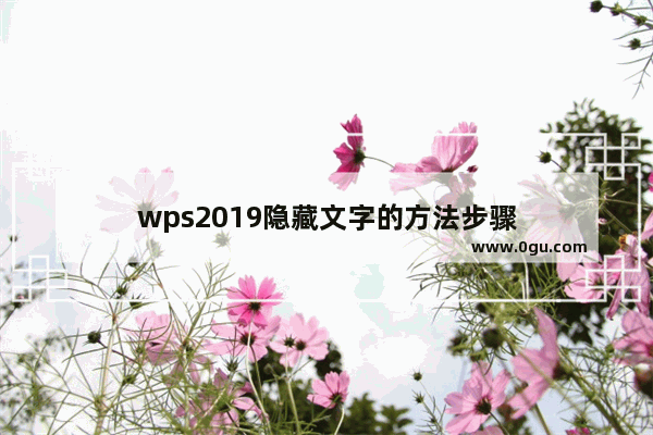 wps2019隐藏文字的方法步骤