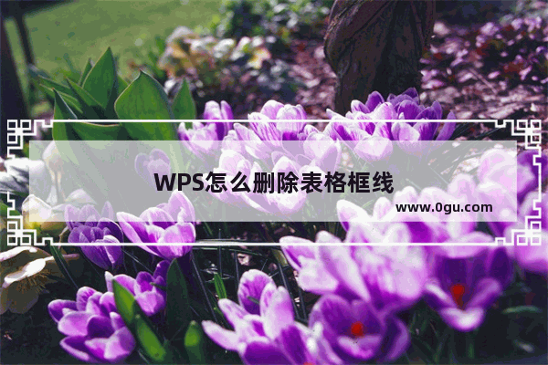 WPS怎么删除表格框线