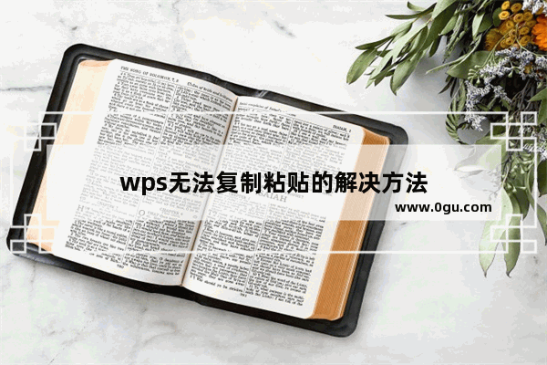 wps无法复制粘贴的解决方法