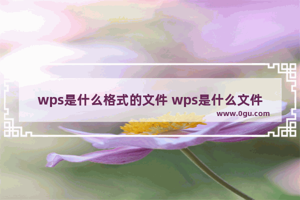 wps是什么格式的文件 wps是什么文件