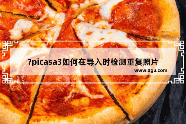 ?picasa3如何在导入时检测重复照片 ?picasa3在导入时检测重复照片的教程