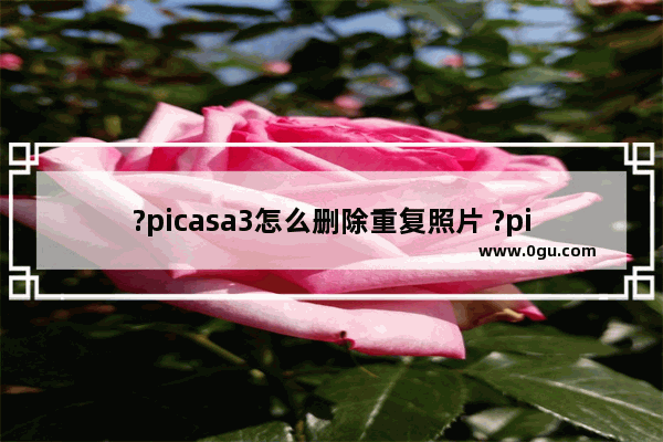 ?picasa3怎么删除重复照片 ?picasa3删除重复照片的方法