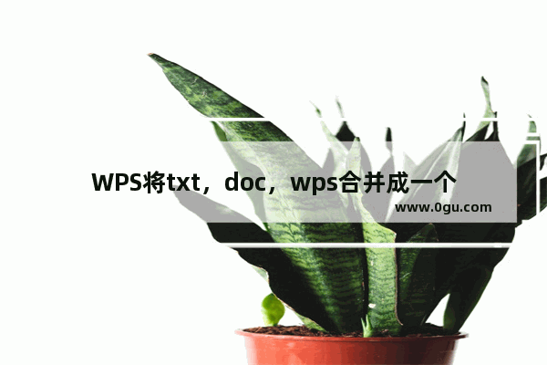 WPS将txt，doc，wps合并成一个文档的简单操作