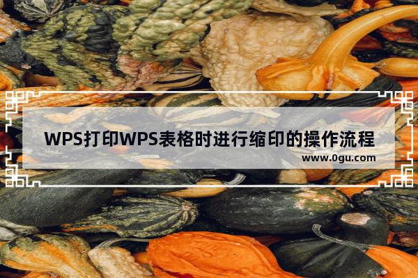 WPS打印WPS表格时进行缩印的操作流程