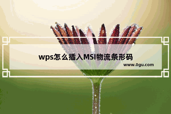 wps怎么插入MSI物流条形码