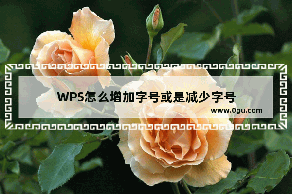 WPS怎么增加字号或是减少字号