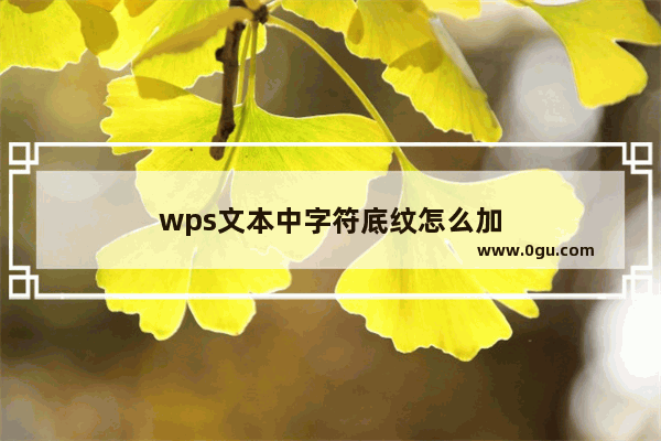 wps文本中字符底纹怎么加