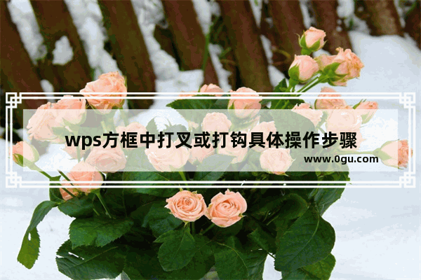 wps方框中打叉或打钩具体操作步骤