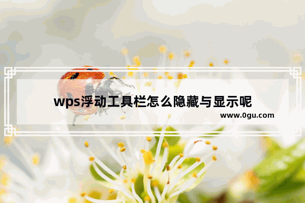 wps浮动工具栏怎么隐藏与显示呢