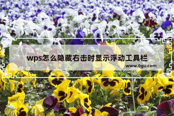 wps怎么隐藏右击时显示浮动工具栏