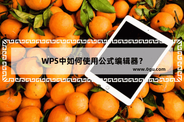 WPS中如何使用公式编辑器？