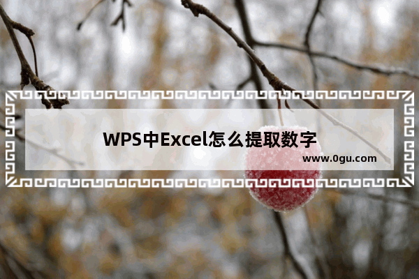 WPS中Excel怎么提取数字