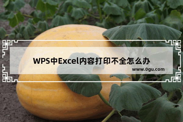 WPS中Excel内容打印不全怎么办