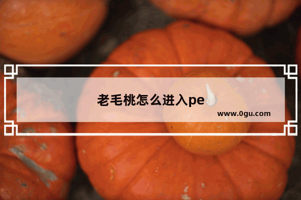 老毛桃怎么进入pe