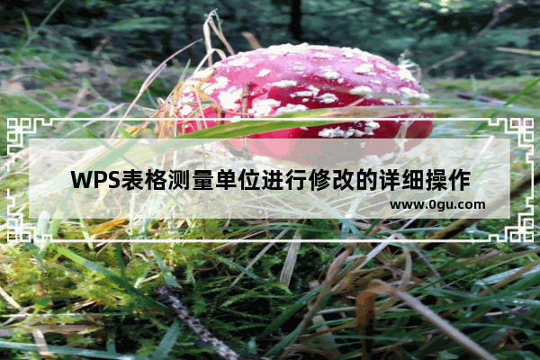 WPS表格测量单位进行修改的详细操作