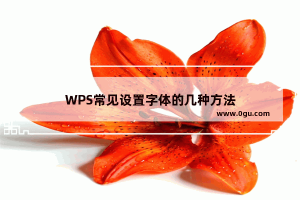 WPS常见设置字体的几种方法