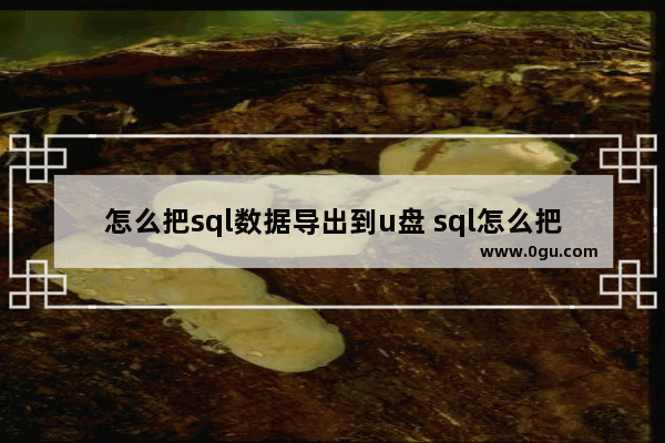 怎么把sql数据导出到u盘 sql怎么把数据导入