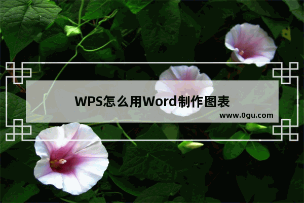 WPS怎么用Word制作图表