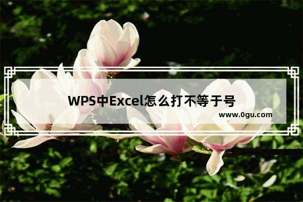 WPS中Excel怎么打不等于号