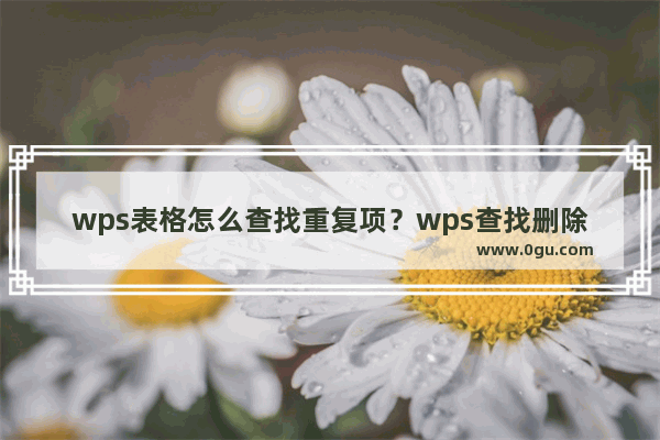 wps表格怎么查找重复项？wps查找删除重复项方法