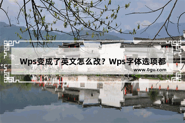 Wps变成了英文怎么改？Wps字体选项都是英文怎么调回中文教学