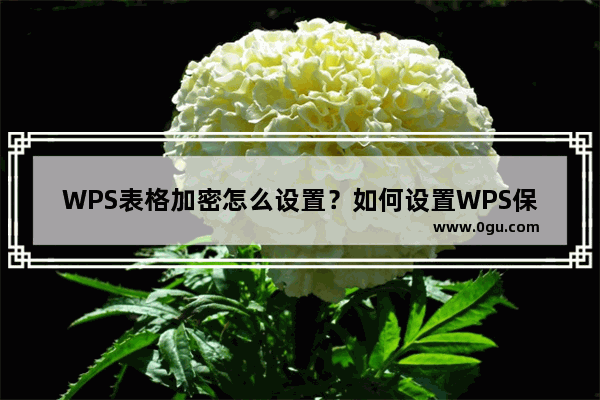 WPS表格加密怎么设置？如何设置WPS保护密码？