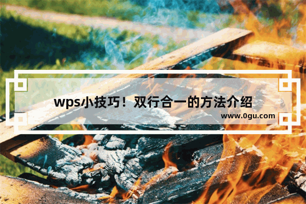 wps小技巧！双行合一的方法介绍