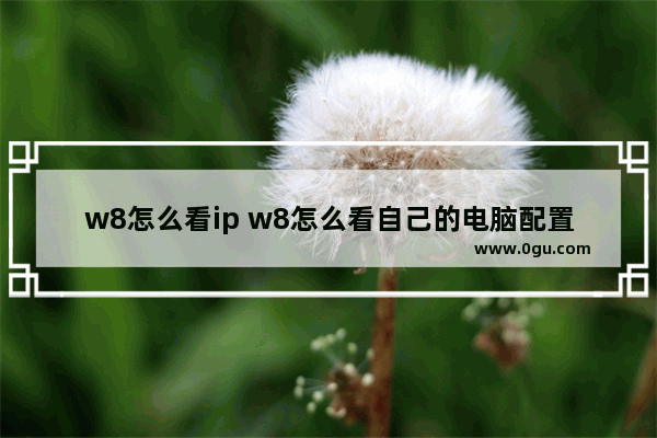 w8怎么看ip w8怎么看自己的电脑配置