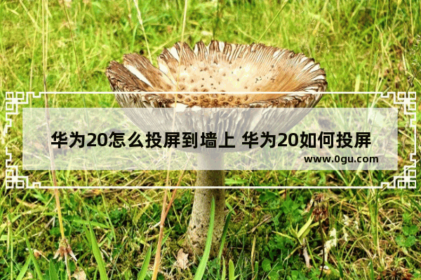 华为20怎么投屏到墙上 华为20如何投屏