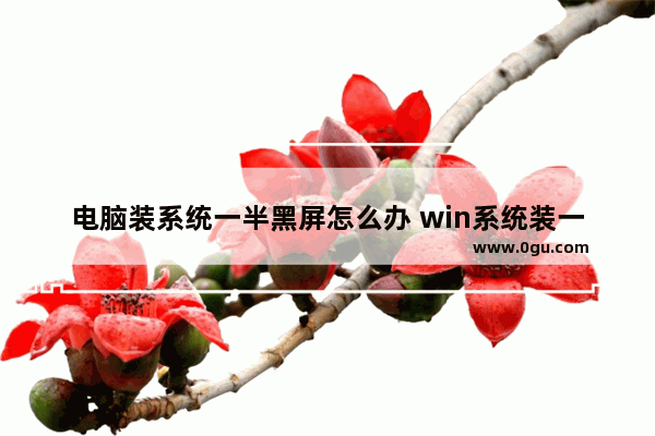 电脑装系统一半黑屏怎么办 win系统装一半电脑黑屏了