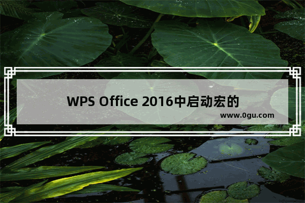 WPS Office 2016中启动宏的操作方法