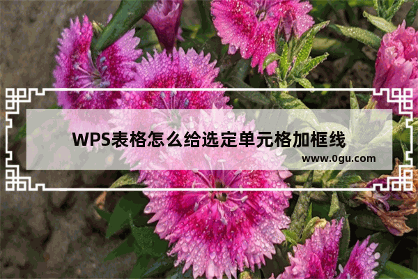 WPS表格怎么给选定单元格加框线