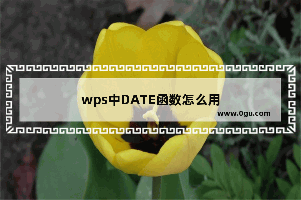 wps中DATE函数怎么用