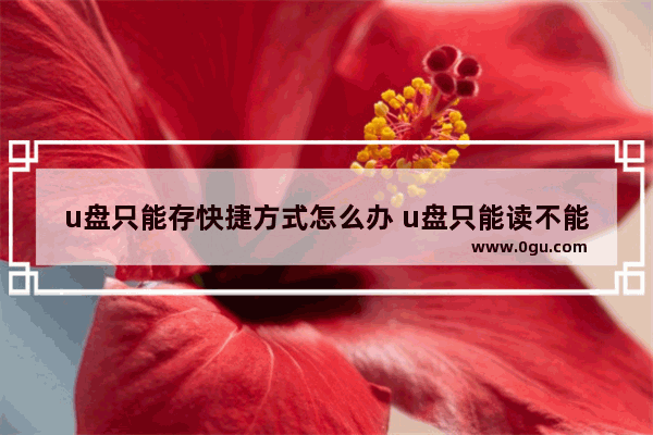 u盘只能存快捷方式怎么办 u盘只能读不能存