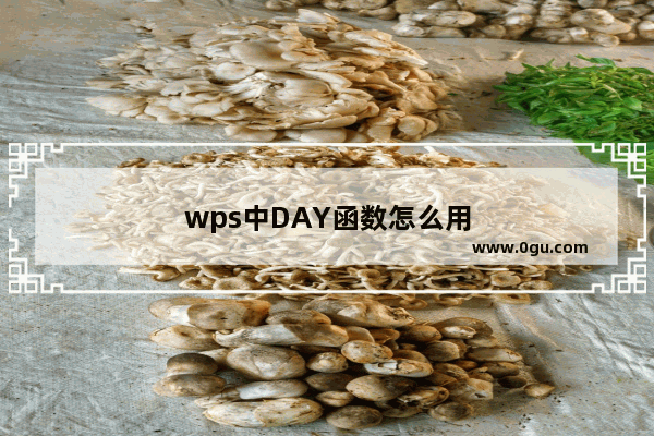 wps中DAY函数怎么用