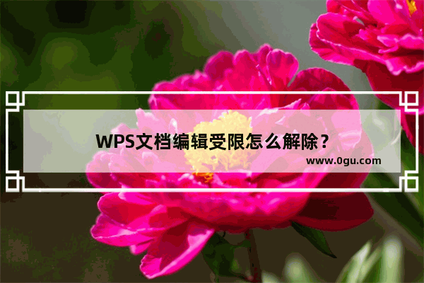 WPS文档编辑受限怎么解除？