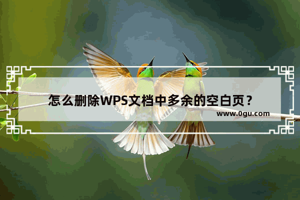 怎么删除WPS文档中多余的空白页？