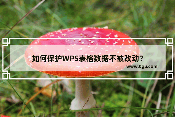 如何保护WPS表格数据不被改动？