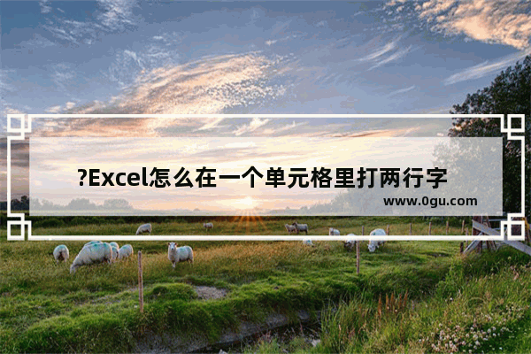 ?Excel怎么在一个单元格里打两行字 Excel表格一个格里换行打两行字的方法教程