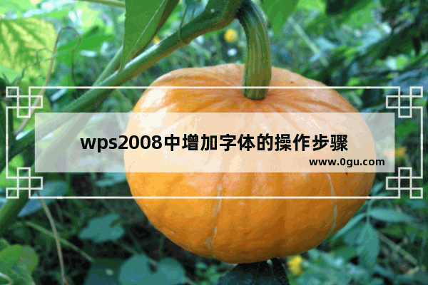 wps2008中增加字体的操作步骤