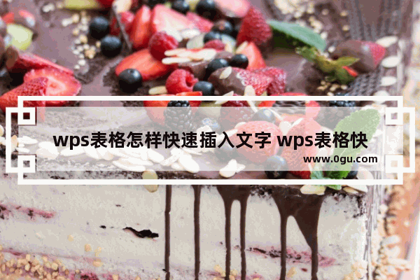 wps表格怎样快速插入文字 wps表格快速插入文字的详细步骤