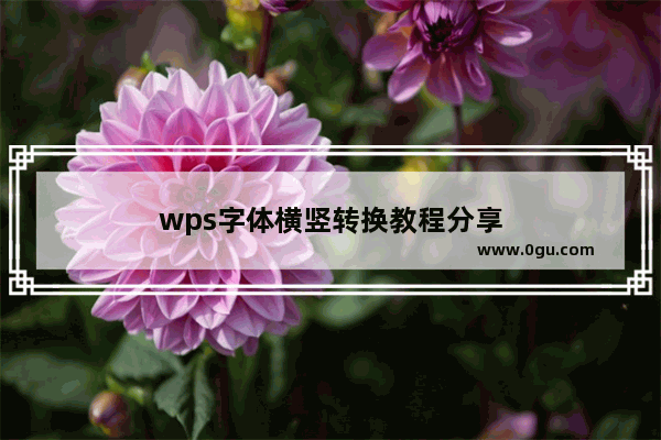 wps字体横竖转换教程分享