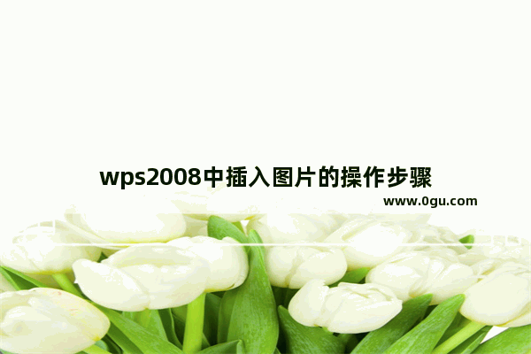 wps2008中插入图片的操作步骤