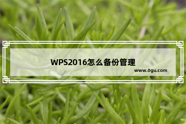 WPS2016怎么备份管理