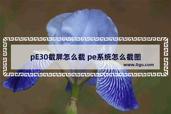 pE30截屏怎么截 pe系统怎么截图