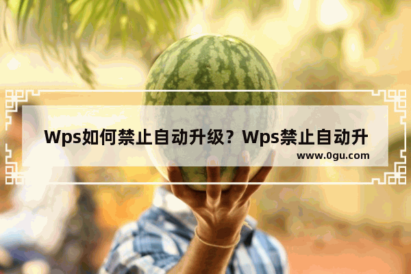 Wps如何禁止自动升级？Wps禁止自动升级的方法