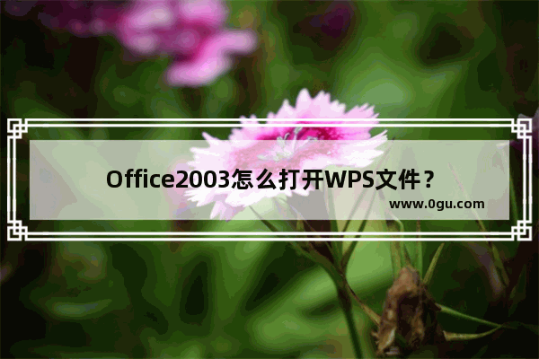 Office2003怎么打开WPS文件？Office打开WPS文件格式的方法