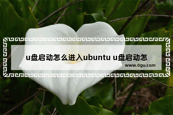 u盘启动怎么进入ubuntu u盘启动怎么进入bios设置