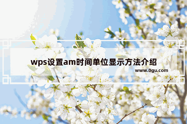 wps设置am时间单位显示方法介绍